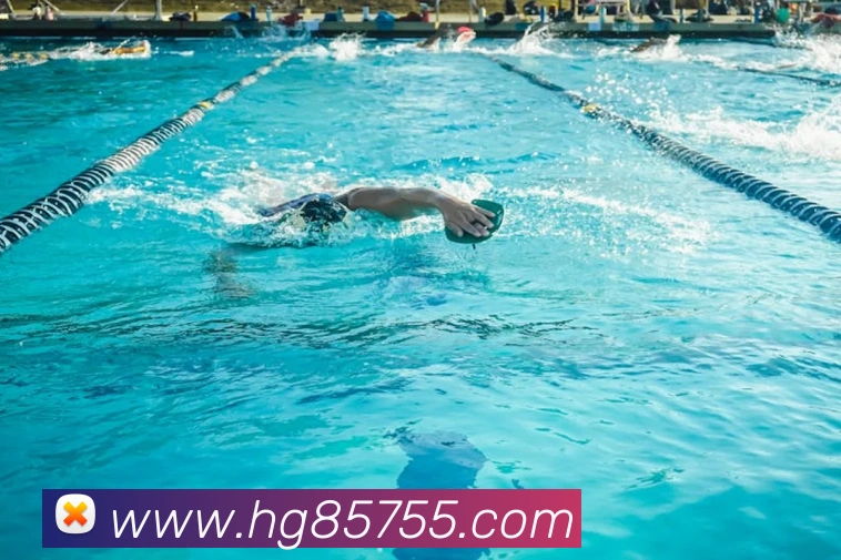 多彩内容专区